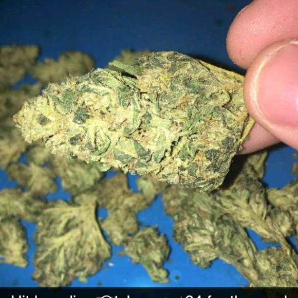 yomama313333